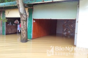 Nhiều hộ dân ở phường Bến Thủy tràn ngập nước sông Lam dâng cao